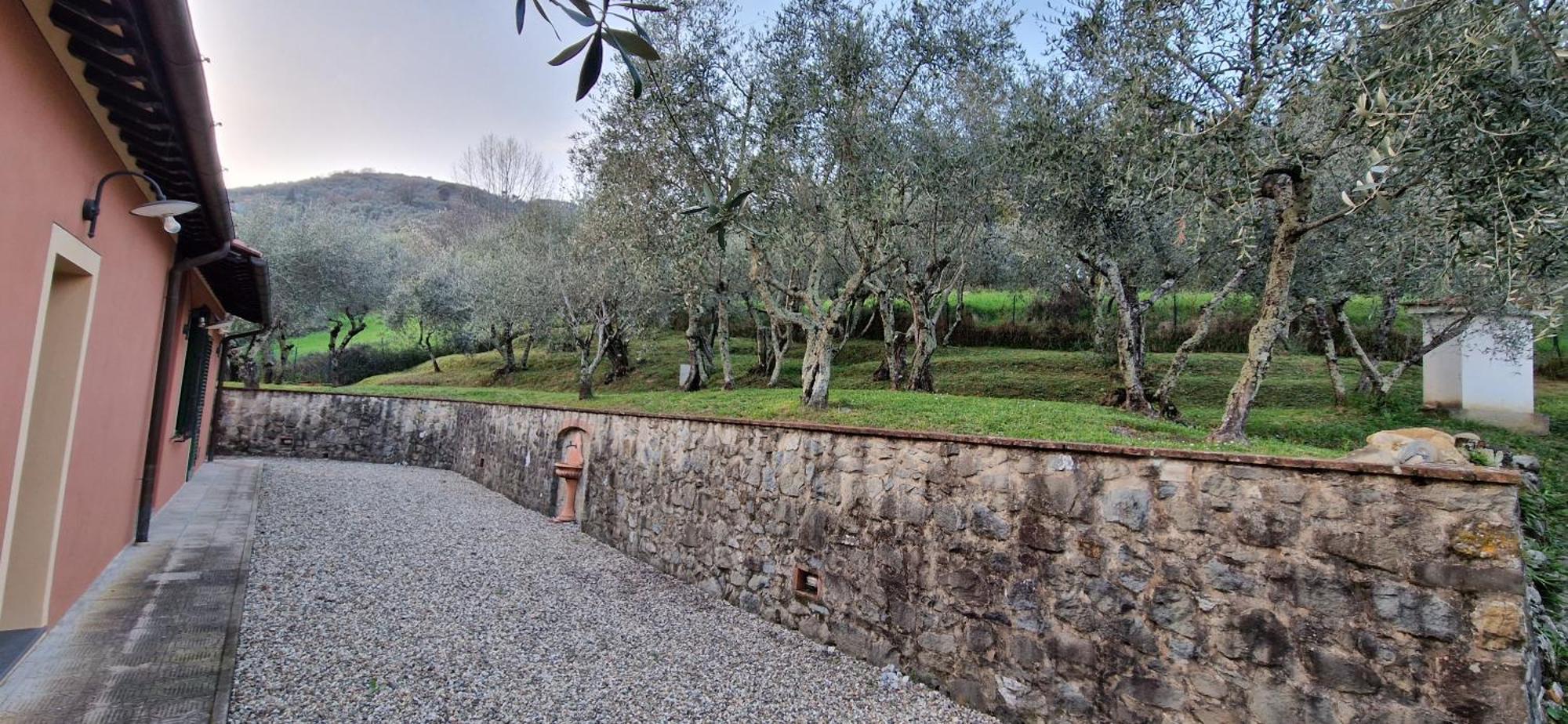 Ferienwohnung Casa Cipressino Pescia Exterior foto